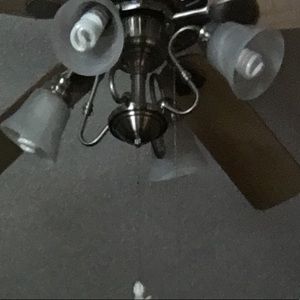 Meet your Posher, Kaylee